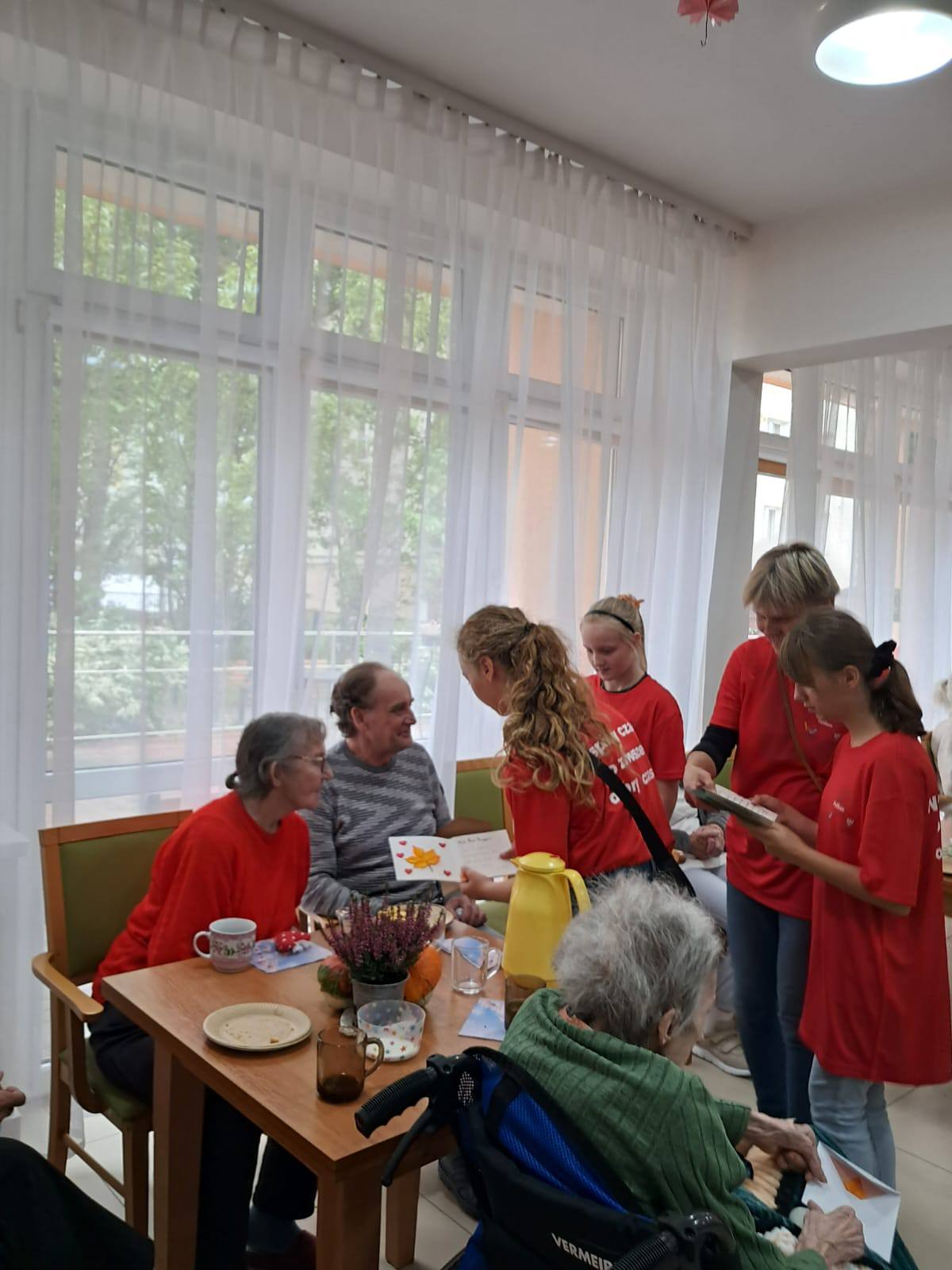 podgląd